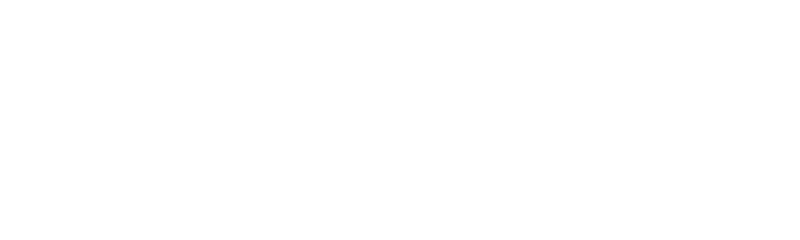 Raio X — Ecom World